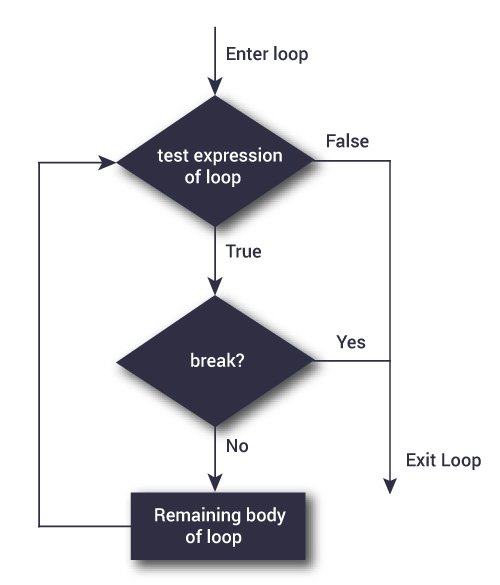 python break flowchart