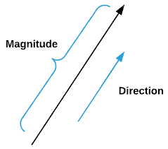 Vector components - magnitude and direction while searching for 'Python Vector'