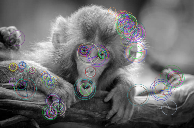 Demystifying OpenCV keypoint in Python - Python Pool