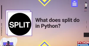 What does split do in Python?