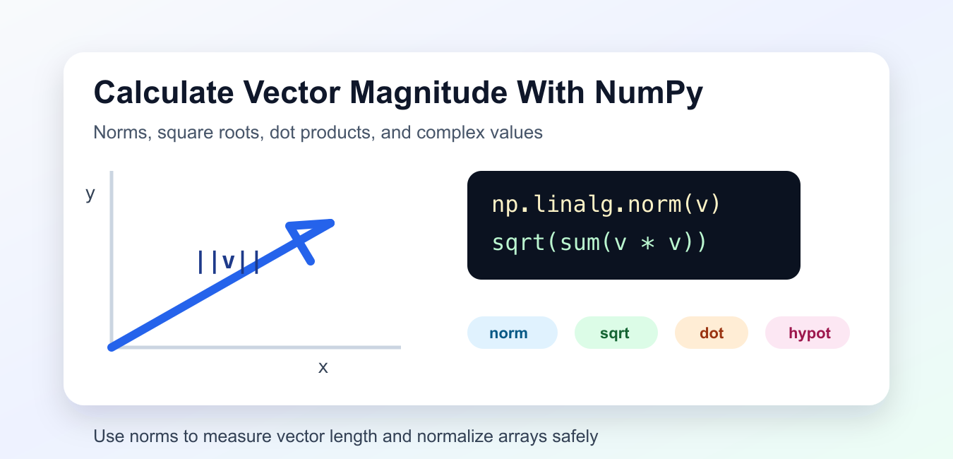 NumPy Magnitude: Vector Norms, Absolute Values, and Shape