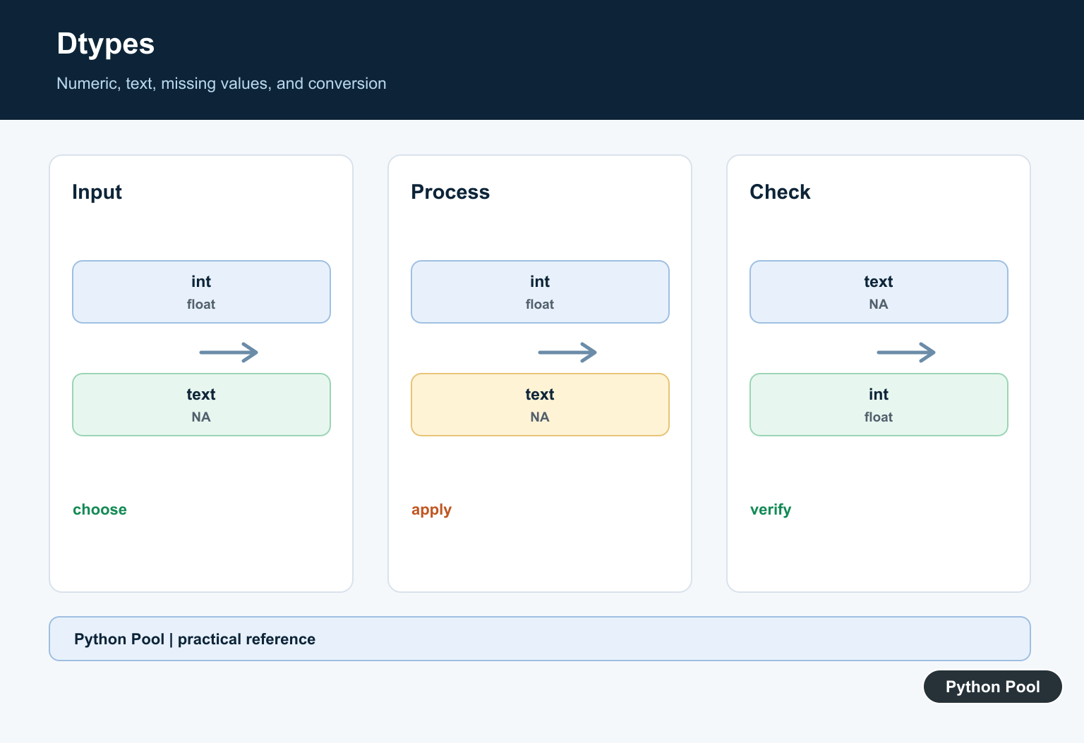 Python Pool infographic showing numeric, text, missing, and converted DataFrame values