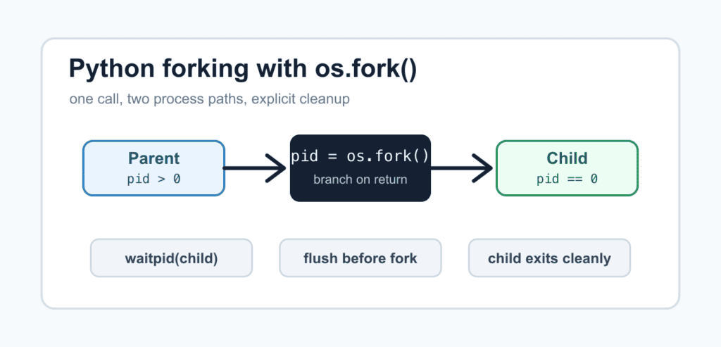 Forking in Python: Processes, Start Methods, and Safe Boundaries