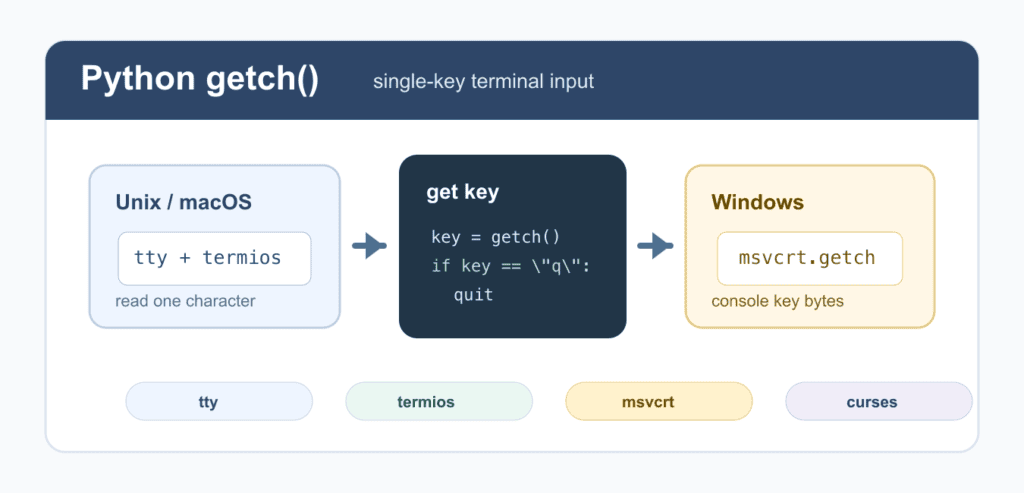 Python getch: Read One Key in the Terminal