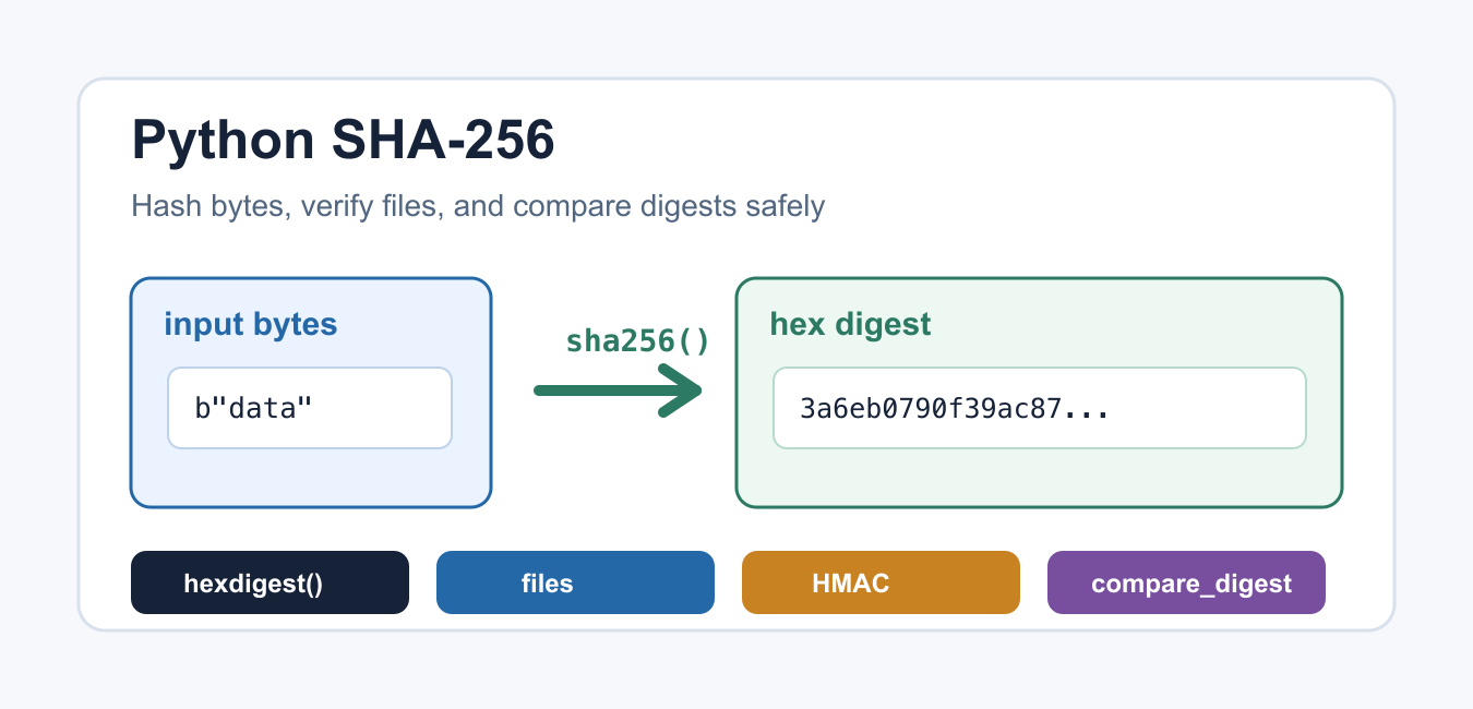 Python SHA-256: Hash Bytes, Files, and Messages